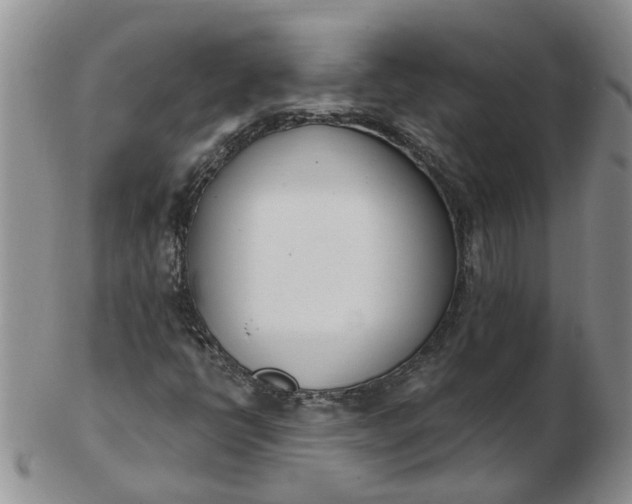 X0000103171398200809051711