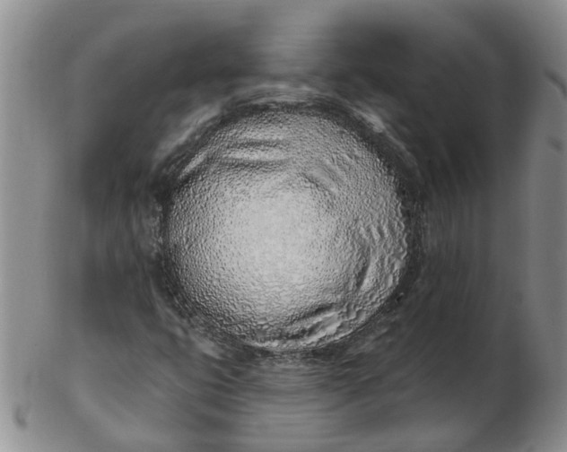 X0000103171399200809051711