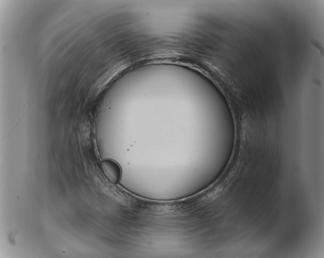 X0000103171401200809051711