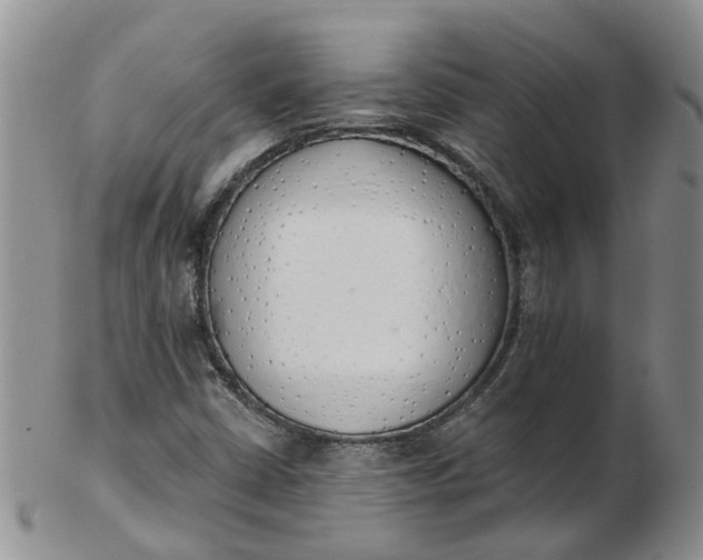 X0000103171402200809051711