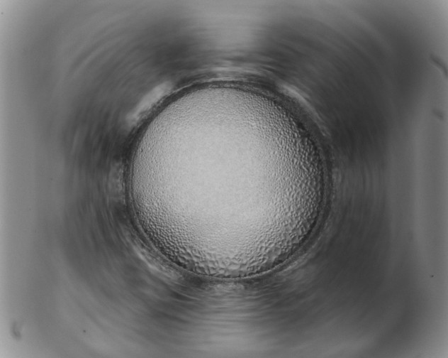 X0000103171403200809051711