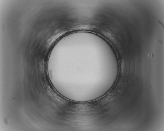 X0000103171404200809051711