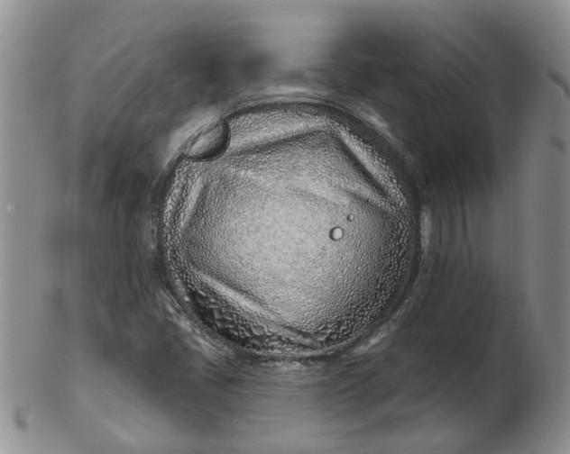 X0000103171405200809051711