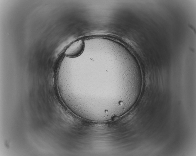 X0000103171406200809051711