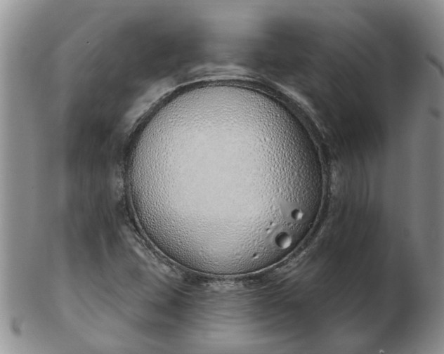 X0000103171407200809051711