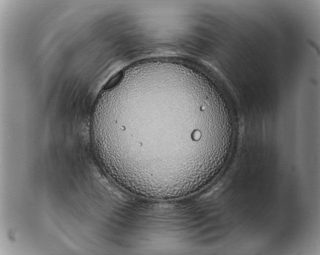 X0000103171409200809051711