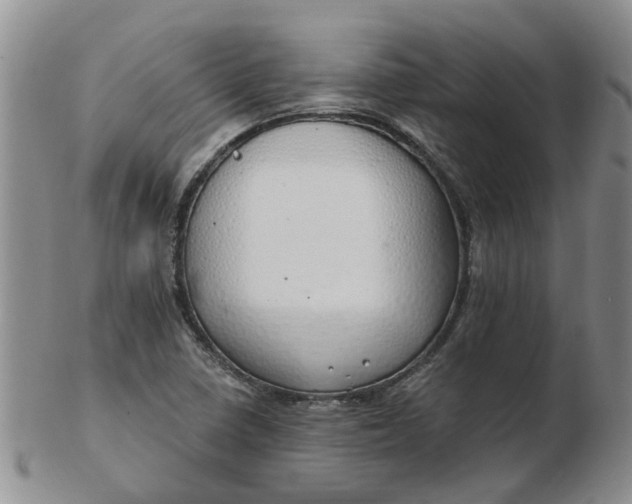 X0000103171410200809051712