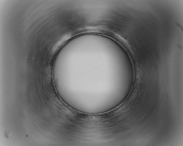 X0000103171411200809051712