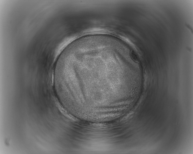 X0000103171413200809051712