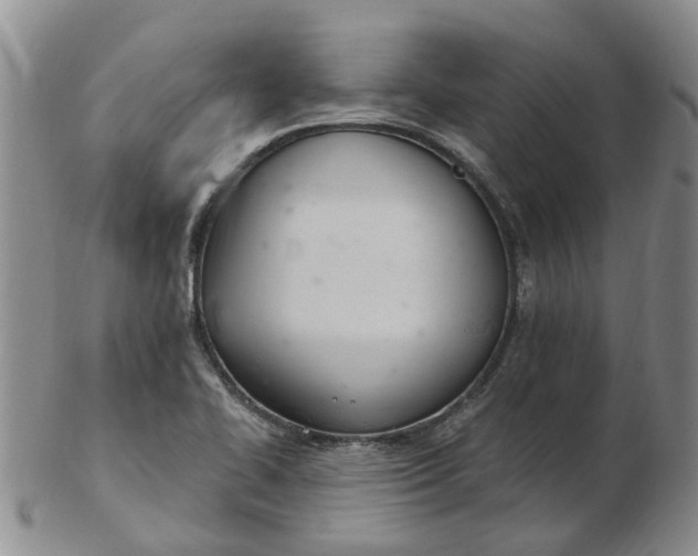 X0000103171414200809051712