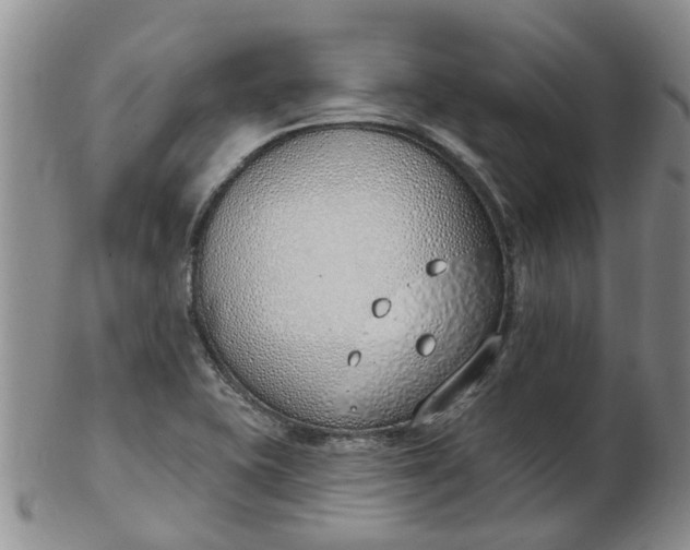 X0000103171415200809051712