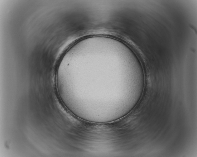 X0000103171416200809051712