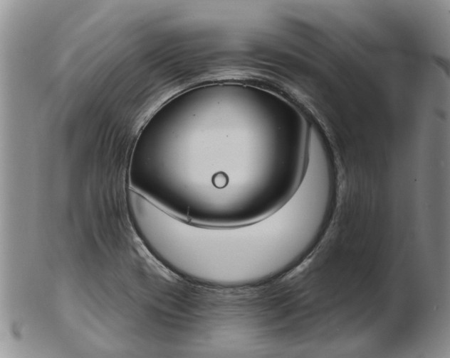 X0000103171417200809051712