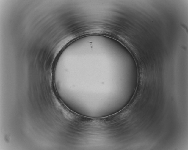 X0000103171418200809051712