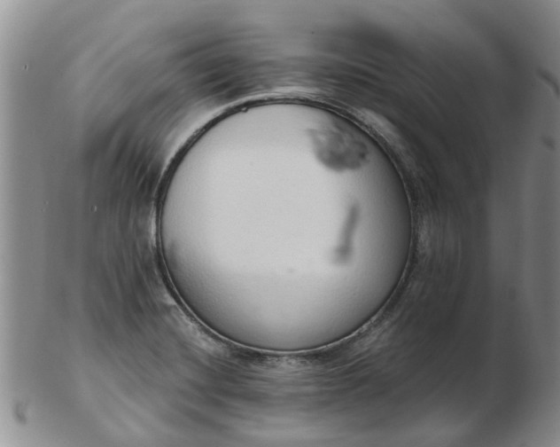 X0000103171420200809051712