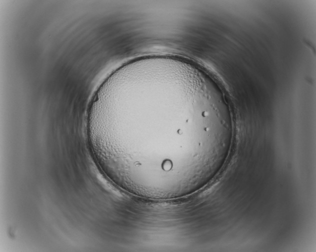 X0000103171421200809051712