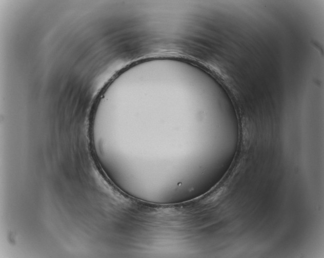 X0000103171422200809051712