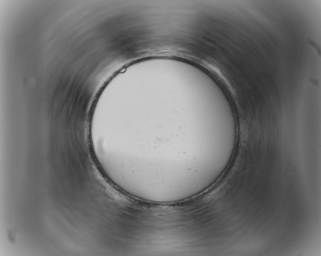 X0000103171424200809051712