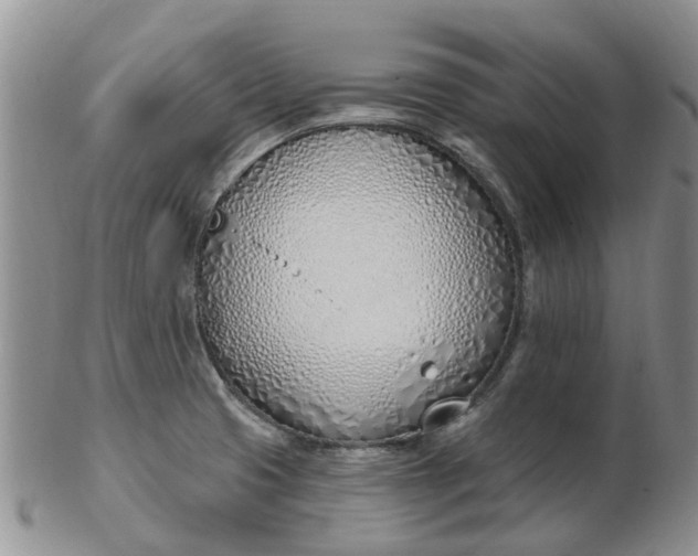 X0000103171425200809051712