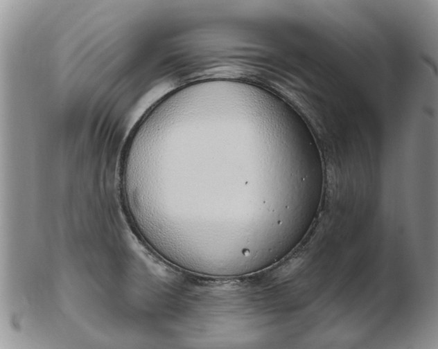 X0000103171426200809051712