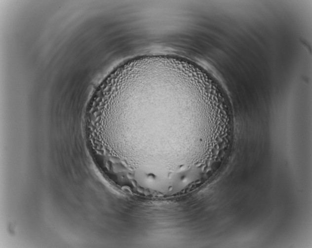 X0000103171429200809051712