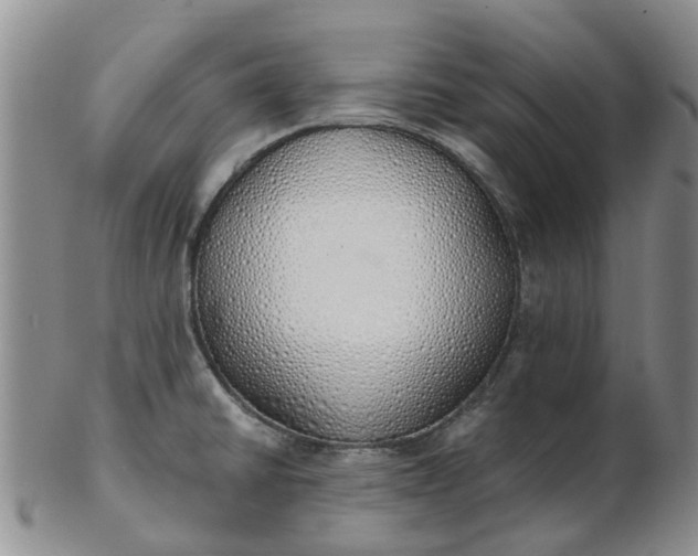 X0000103171430200809051712