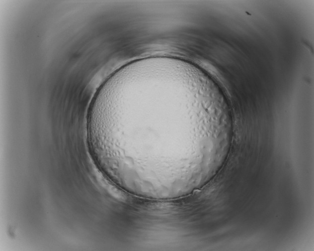 X0000103171431200809051712