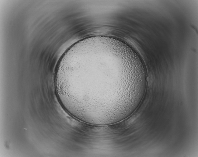 X0000103171434200809051712