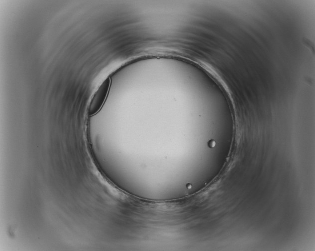 X0000103171437200809051712