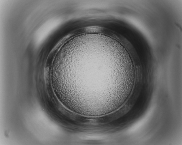 X0000103171438200809051712