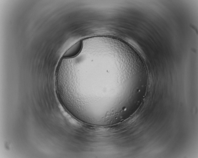 X0000103171439200809051712