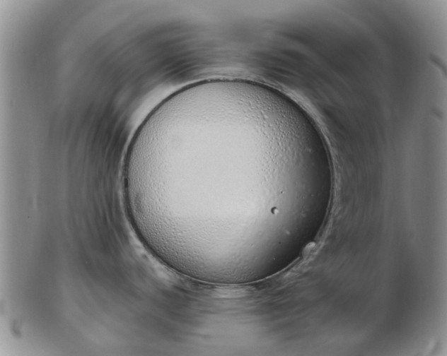 X0000103171440200809051712