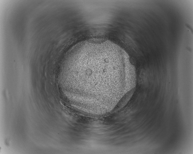 X0000103171441200809051711