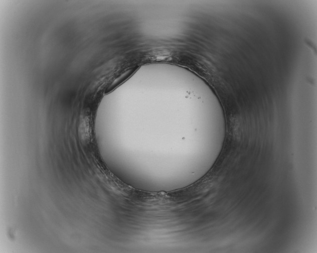 X0000103171442200809051711