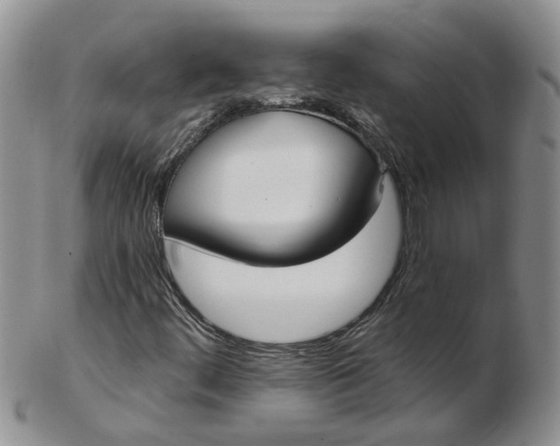 X0000103171444200809051711