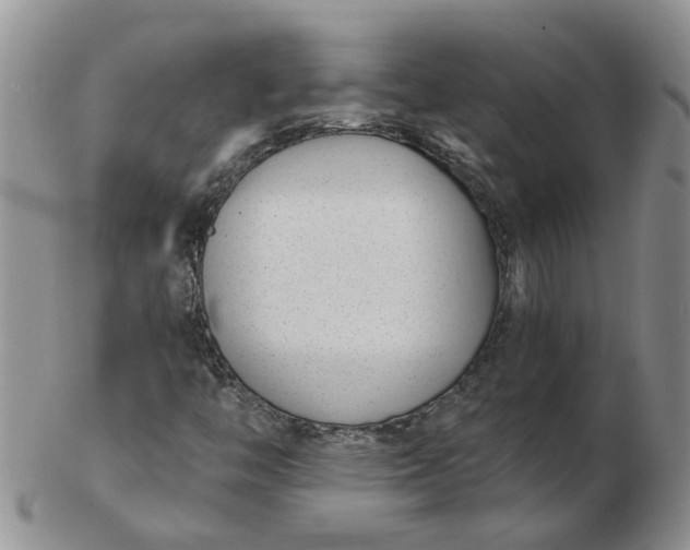 X0000103171446200809051711