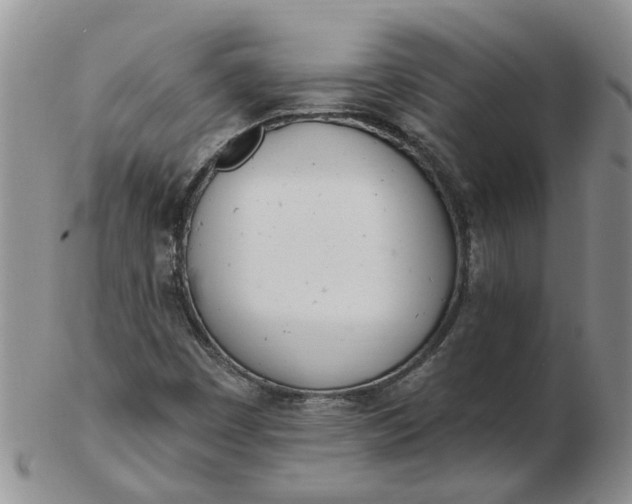 X0000103171449200809051711