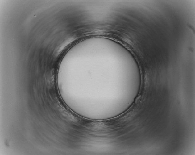 X0000103171450200809051711