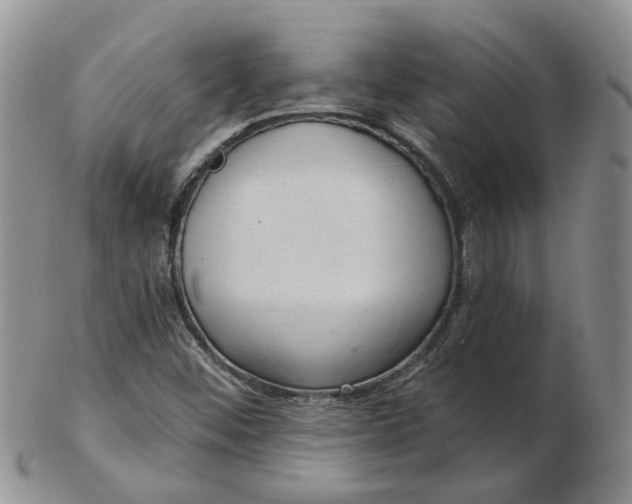 X0000103171452200809051711