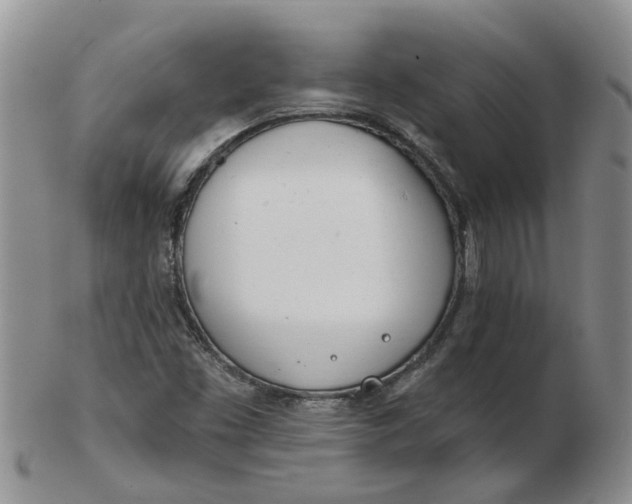 X0000103171453200809051711