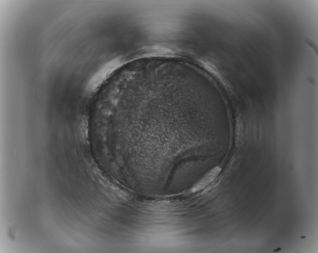 X0000103171455200809051711