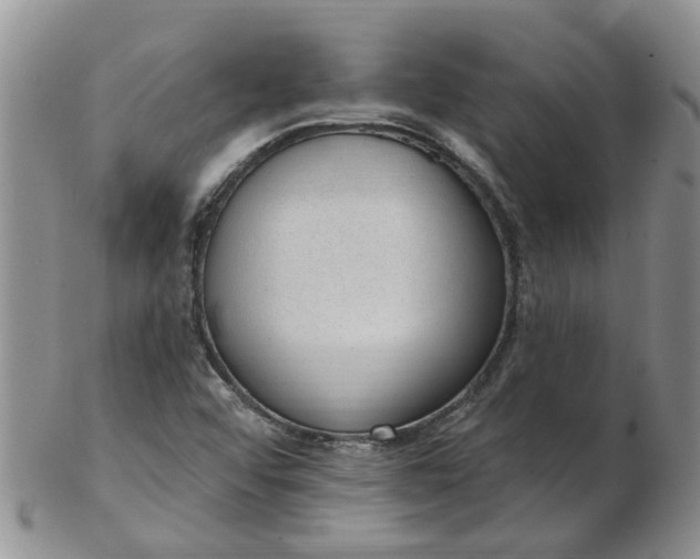 X0000103171456200809051711