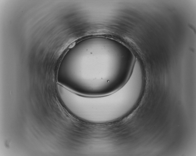 X0000103171457200809051711