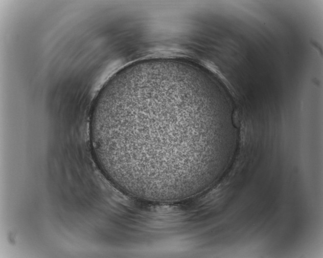 X0000103171459200809051711