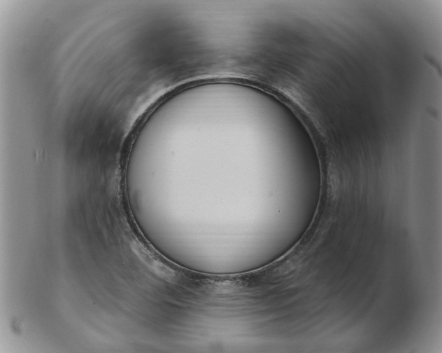 X0000103171460200809051711