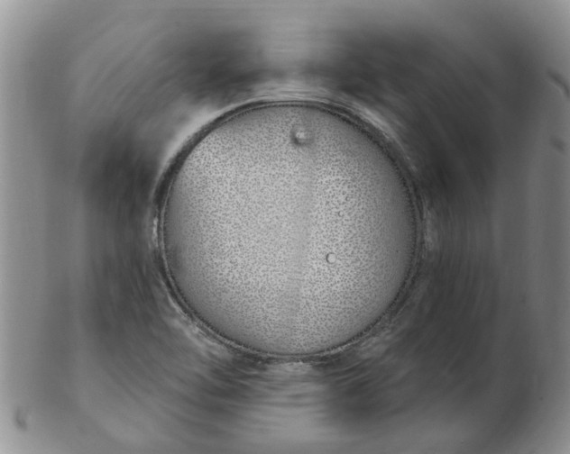 X0000103171462200809051711