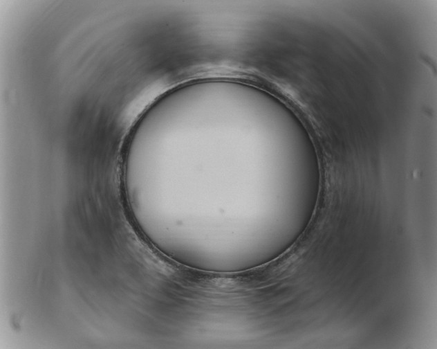 X0000103171463200809051711