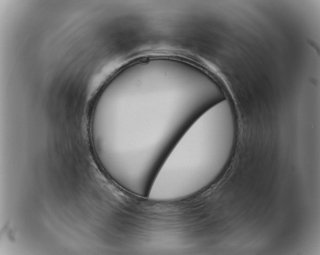 X0000103171464200809051711