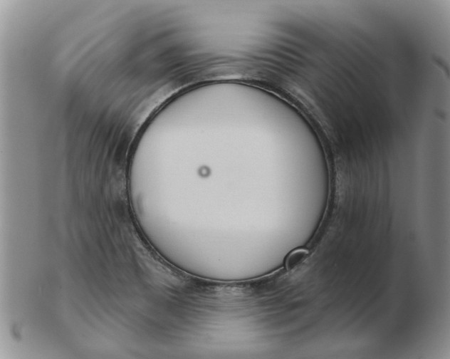 X0000103171465200809051711