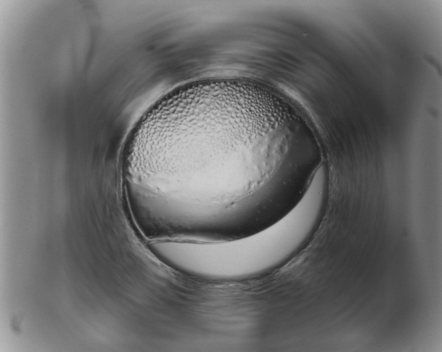 X0000103171467200809051711